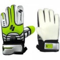 /album/nuevos-guantes-de-nano/medium-jpg/
